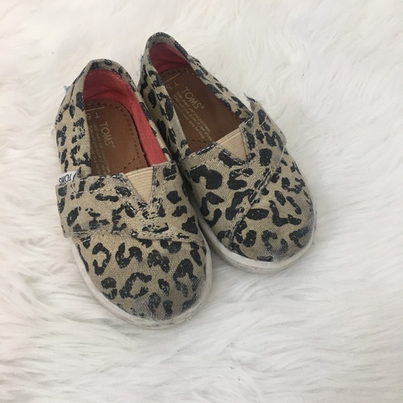 toms baby cheetah
